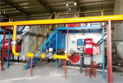 Henan potato industry