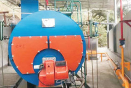 Shenyang food company